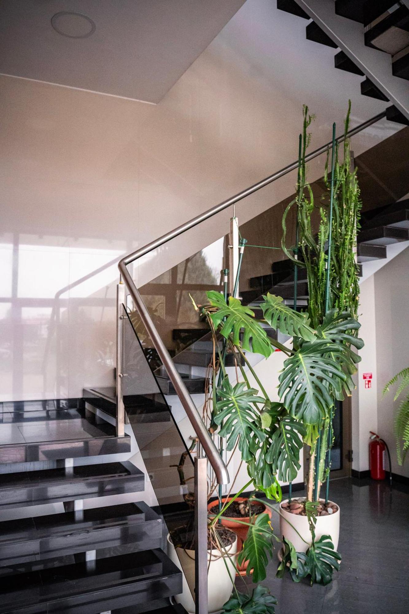 Hotel Pas Katina Panevėžys Exteriér fotografie